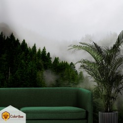 Fototapetai "Green trees covered with fog"